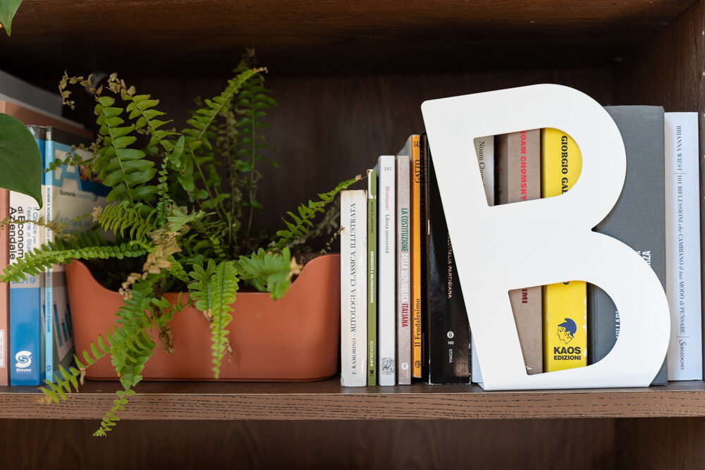 Un ripiano della libreria con i libri, la felce nel vaso e la B di Binatomy